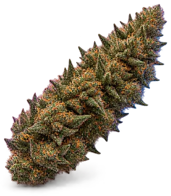 AI-generated illustration of a cannabis flower for the Mountain Glue page, not a photo of the strain