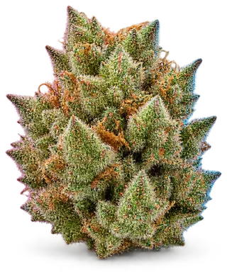 AI-generated illustration of a cannabis flower for the Mountain Lemon page, not a photo of the strain