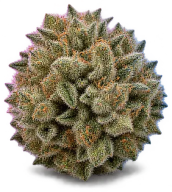 AI-generated illustration of a cannabis flower for the Mr Nasty page, not a photo of the strain