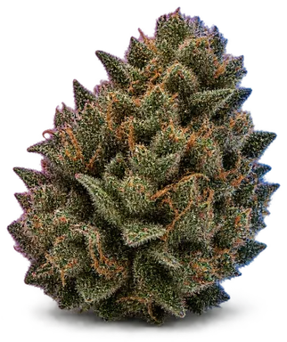 AI-generated illustration of a cannabis flower for the Mr OG page, not a photo of the strain