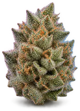AI-generated illustration of a cannabis flower for the Mule Fuel page, not a photo of the strain