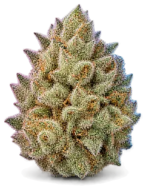 AI-generated illustration of a cannabis flower for the Nab page, not a photo of the strain