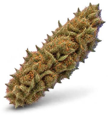 AI-generated illustration of a cannabis flower for the Neon Rainbowz page, not a photo of the strain