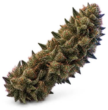 AI-generated illustration of a cannabis flower for the New York City Diesel page, not a photo of the strain