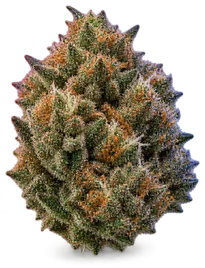 AI-generated illustration of a cannabis flower for the Next Level OG page, not a photo of the strain