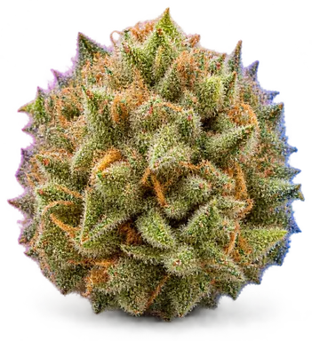 AI-generated illustration of a cannabis flower for the Nigerian Haze page, not a photo of the strain