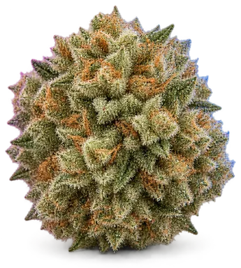 AI-generated illustration of a cannabis flower for the Nilla Wafer page, not a photo of the strain