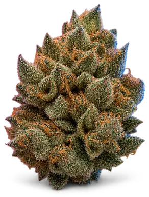 AI-generated illustration of a cannabis flower for the Nimbus Snacks page, not a photo of the strain