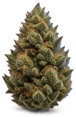 AI-generated illustration of a cannabis flower for the Nobe page, not a photo of the strain