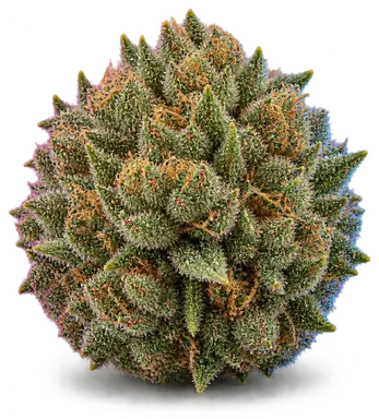 AI-generated illustration of a cannabis flower for the Northern Fire page, not a photo of the strain
