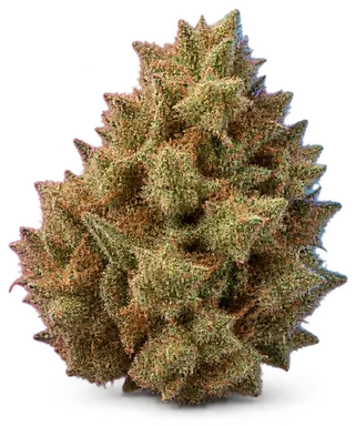 AI-generated illustration of a cannabis flower for the North Town Jack page, not a photo of the strain