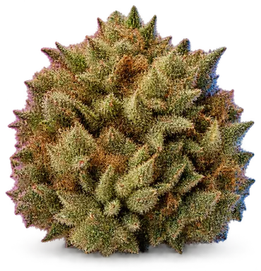 AI-generated illustration of a cannabis flower for the Nuclear Sunset page, not a photo of the strain