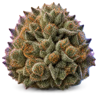 AI-generated illustration of a cannabis flower for the Nyc Diesel page, not a photo of the strain