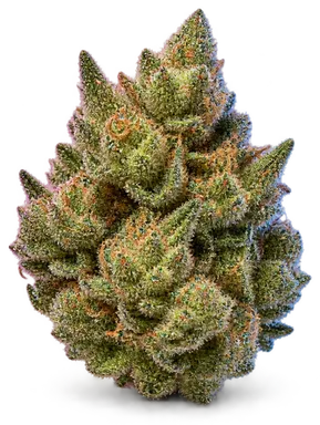 AI-generated illustration of a cannabis flower for the NY Sour Diesel page, not a photo of the strain