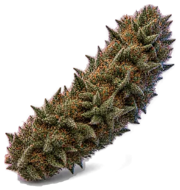 AI-generated illustration of a cannabis flower for the Obama Kush page, not a photo of the strain