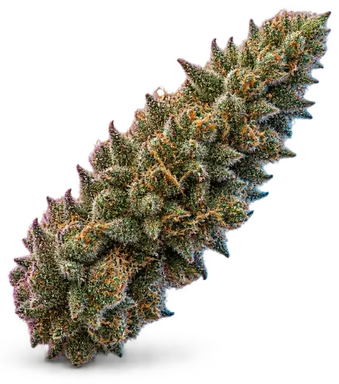AI-generated illustration of a cannabis flower for the OG Glue page, not a photo of the strain