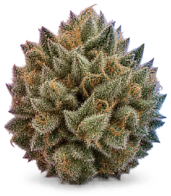 AI-generated illustration of a cannabis flower for the Ogkb2 page, not a photo of the strain
