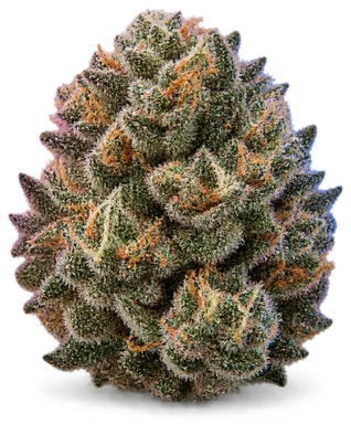 AI-generated illustration of a cannabis flower for the OG Kush page, not a photo of the strain