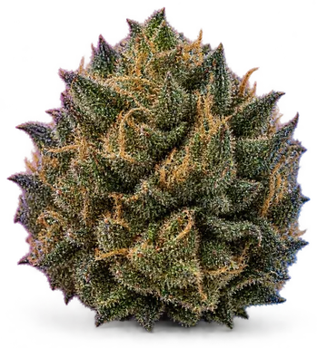 AI-generated illustration of a cannabis flower for the OG Story page, not a photo of the strain