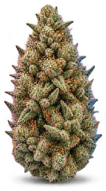 AI-generated illustration of a cannabis flower for the Oh Geez page, not a photo of the strain