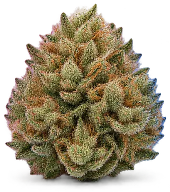 AI-generated illustration of a cannabis flower for the Omg page, not a photo of the strain