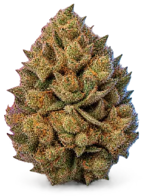 AI-generated illustration of a cannabis flower for the Orange 43 page, not a photo of the strain