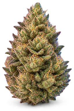AI-generated illustration of a cannabis flower for the Orange Beltz page, not a photo of the strain