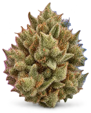 AI-generated illustration of a cannabis flower for the Orange Fruity Pebbles page, not a photo of the strain