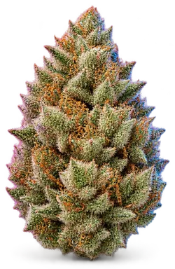 AI-generated illustration of a cannabis flower for the Orange Krush page, not a photo of the strain