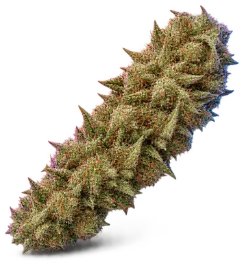 AI-generated illustration of a cannabis flower for the Orangutan T page, not a photo of the strain