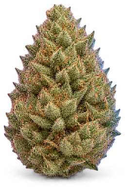 AI-generated illustration of a cannabis flower for the Oreoz page, not a photo of the strain