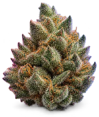 AI-generated illustration of a cannabis flower for the Original Glue A page, not a photo of the strain