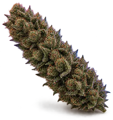 AI-generated illustration of a cannabis flower for the Oz Kush Bx2 page, not a photo of the strain