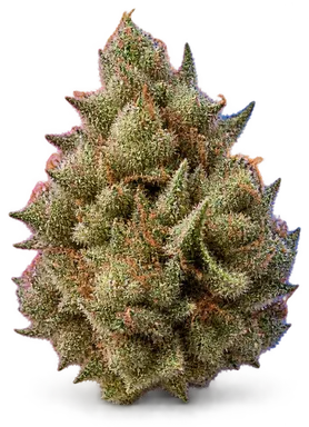 AI-generated illustration of a cannabis flower for the 3-P page, not a photo of the strain