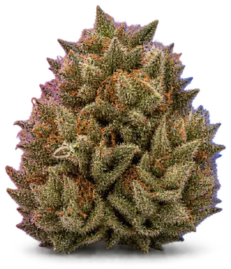 AI-generated illustration of a cannabis flower for the Pancakes page, not a photo of the strain