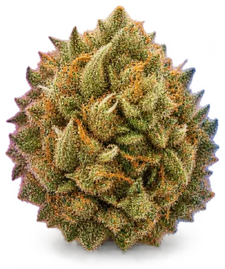 AI-generated illustration of a cannabis flower for the Papaya Bomb page, not a photo of the strain