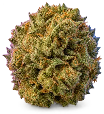 AI-generated illustration of a cannabis flower for the Papaya Cake page, not a photo of the strain