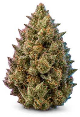 AI-generated illustration of a cannabis flower for the Papaya Punch page, not a photo of the strain
