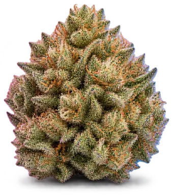 AI-generated illustration of a cannabis flower for the Pave page, not a photo of the strain