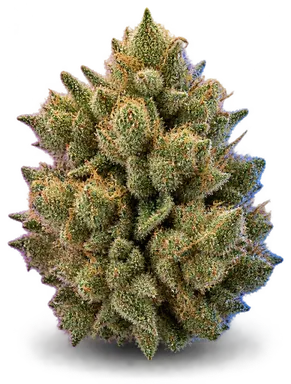 AI-generated illustration of a cannabis flower for the Pb Souffle 1 page, not a photo of the strain