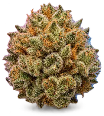 AI-generated illustration of a cannabis flower for the Peaches Be Crazy page, not a photo of the strain
