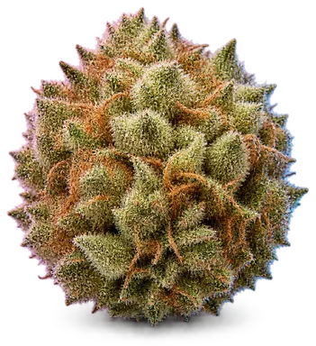 AI-generated illustration of a cannabis flower for the Peach Pie page, not a photo of the strain