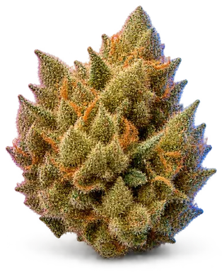 AI-generated illustration of a cannabis flower for the Peanut Butter Breath page, not a photo of the strain
