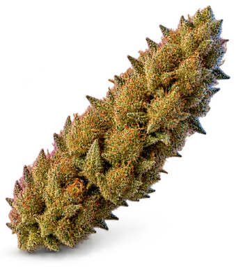 AI-generated illustration of a cannabis flower for the Peanut Butter Muffin 3 page, not a photo of the strain
