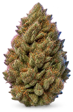 AI-generated illustration of a cannabis flower for the Permanent Marker page, not a photo of the strain