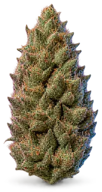 AI-generated illustration of a cannabis flower for the Peta page, not a photo of the strain