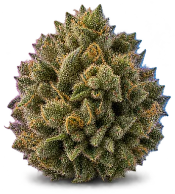 AI-generated illustration of a cannabis flower for the Phatt Fruity page, not a photo of the strain