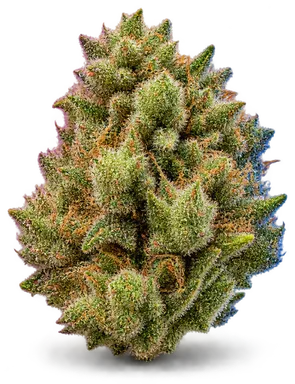 AI-generated illustration of a cannabis flower for the Pineapple Birthday Cake page, not a photo of the strain