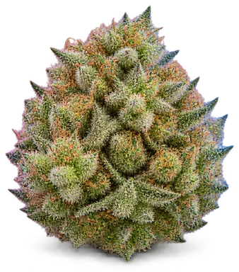 AI-generated illustration of a cannabis flower for the Pineapple Breeze page, not a photo of the strain