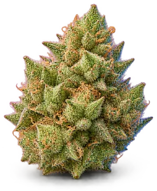 AI-generated illustration of a cannabis flower for the Pineapple Fruz page, not a photo of the strain